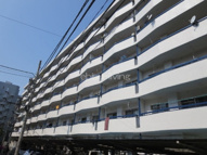 マンションニュー恵比寿の画像