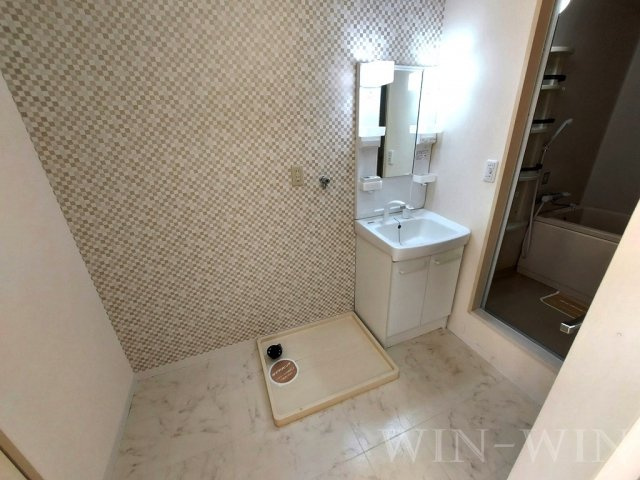 エバーグリーン三ツ相 C棟の洗面所