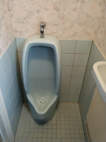 津山市山北　中古住宅　7LDKのトイレ|１階　トイレ