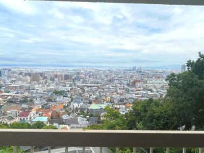 【展望】 | Ｈｉｌｌｓ岡本