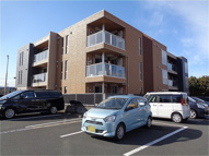 アピシウスの画像