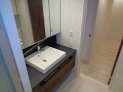 【洗面所】 | アピシウス