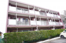 アリエッタの画像