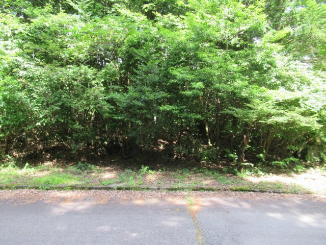 紅葉台センチュリーヴィラ①