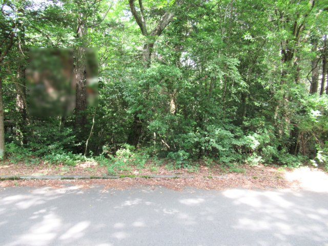 紅葉台センチュリーヴィラ②