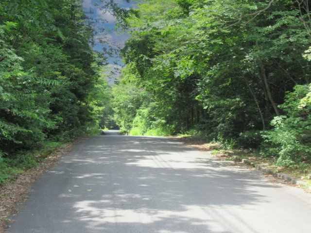 紅葉台センチュリーヴィラ②の前面道路含む現地写真|東から