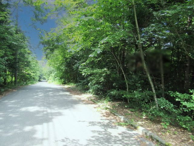 紅葉台センチュリーヴィラ②の前面道路含む現地写真|東から