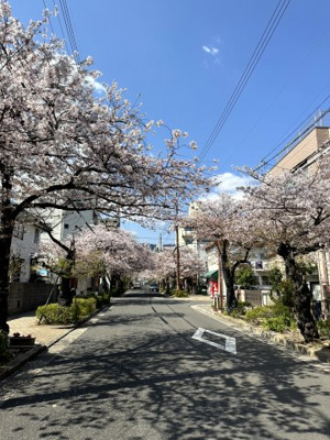 【周辺】 | スタアリイアイ芦屋