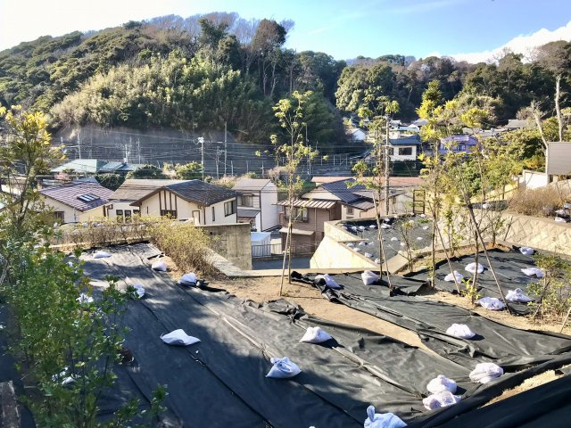 極楽寺 駅徒歩4分 海の見える高台 売地の展望|遠くに江ノ電を望みます。