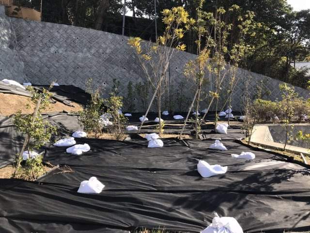 極楽寺 駅徒歩4分 海の見える高台 売地の外観