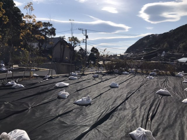 極楽寺 駅徒歩4分 海の見える高台 売地の外観|No.1区画です。