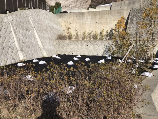 極楽寺 駅徒歩4分 海の見える高台 売地