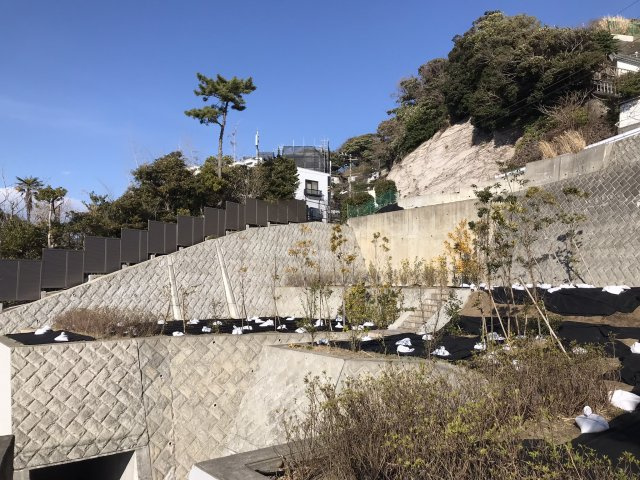 極楽寺 駅徒歩4分 海の見える高台 売地の外観|右奥がNo.4区画です。