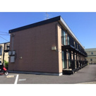 アムール松葉の画像