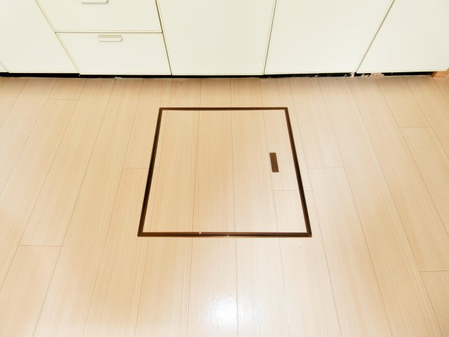 大網白里市細草貸家の収納