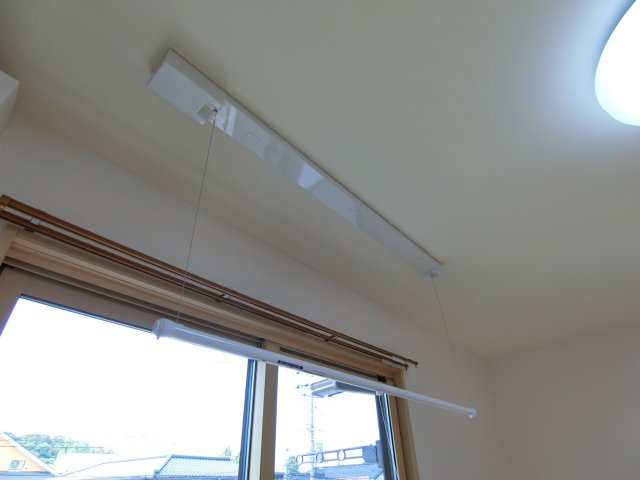 眠兎（ミント）のその他