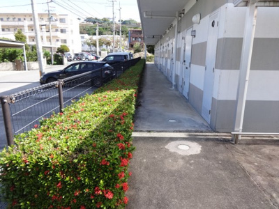 【外観】 | 若夏