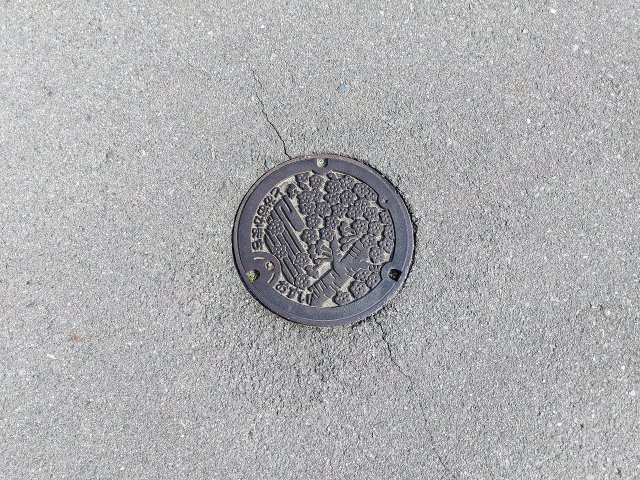 スーパー徒歩圏内　整形地　住宅用地のその他