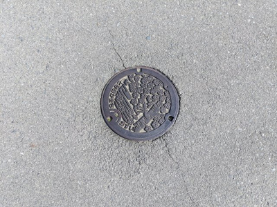 【その他】 | スーパー徒歩圏内　整形地　住宅用地