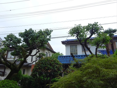 【展望】 | マウントハイム