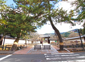 【周辺】 | 徒歩12分には世界遺産【醍醐寺総門】もあります。生活便利でありながら、贅沢なエリアですね。