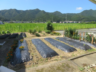 【庭】 | 菜園スペース