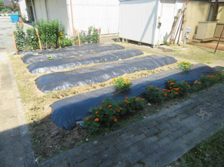 【庭】 | 菜園スペース