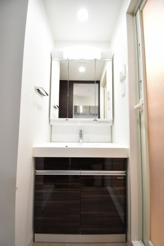モンテノーム南堀江の洗面所
