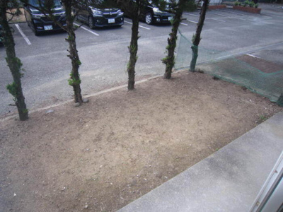 【庭】 | 冬築タウン B棟 | B102 専用庭