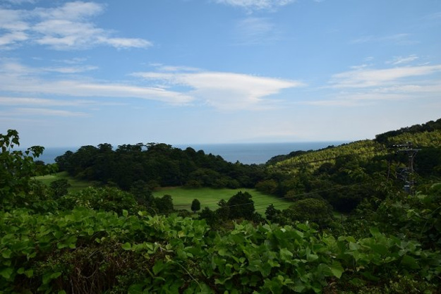 【展望】 | 伊東市吉田　保養所