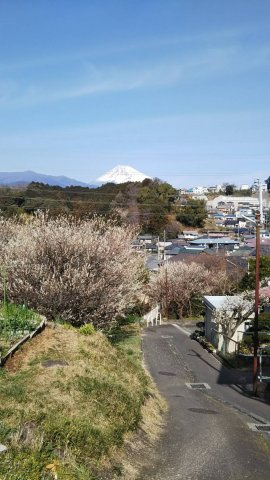 【展望】 | 三島市徳倉3丁目 中古住宅 EH04500 | 三島市徳倉3丁目　富士山を眺望できます