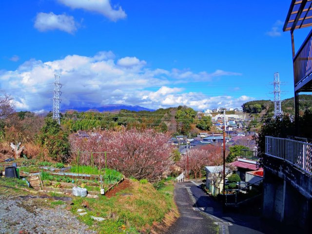 【展望】 | 三島市徳倉3丁目 中古住宅 EH04500 | 三島市徳倉3丁目　前面道路からの眺望