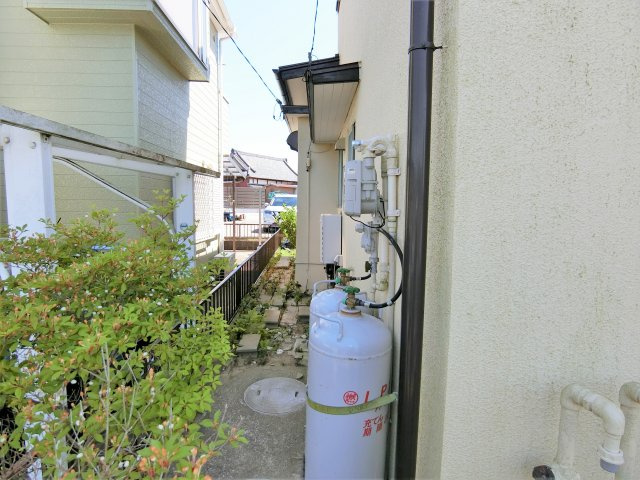 アユムのその他