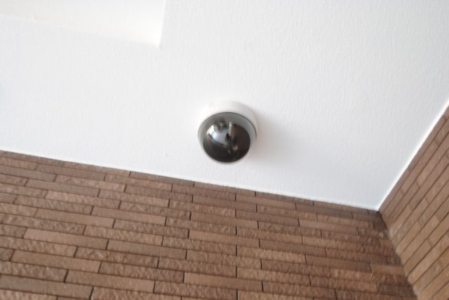 リッツ・アヴェニューのセキュリティ