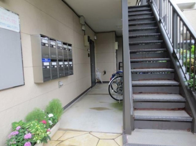 【その他】 | プリマヴェーラ