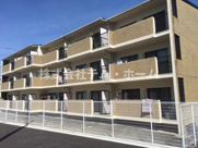 アイビーグリーンの画像