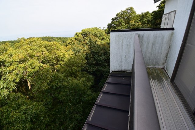【バルコニー】 | エンゼルフォレスト伊豆赤沢　戸建