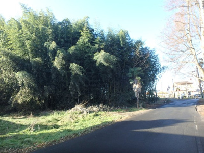 【外観】 | 三郷土地 | 外観です