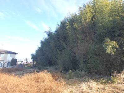 【外観】 | 三郷土地 | 物件の外観です