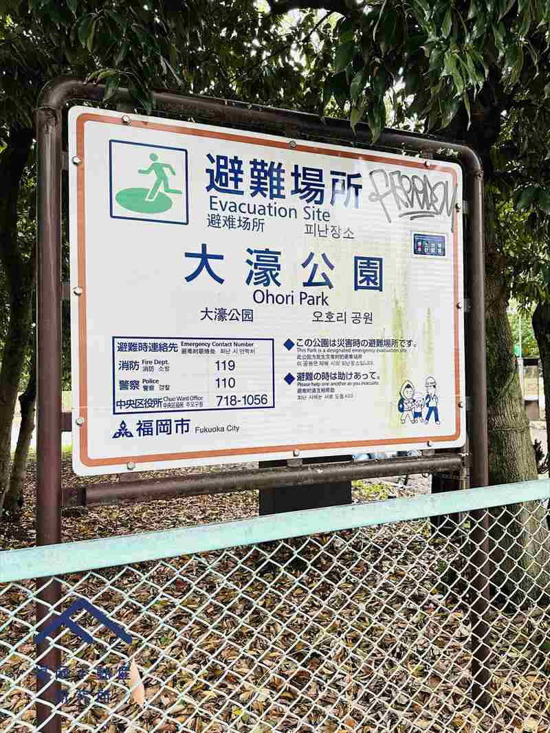 メゾン大濠の周辺