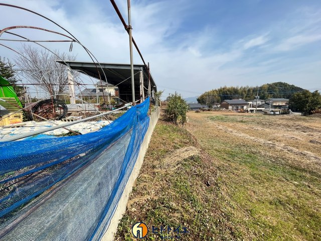 吉田　岩戸山の周辺