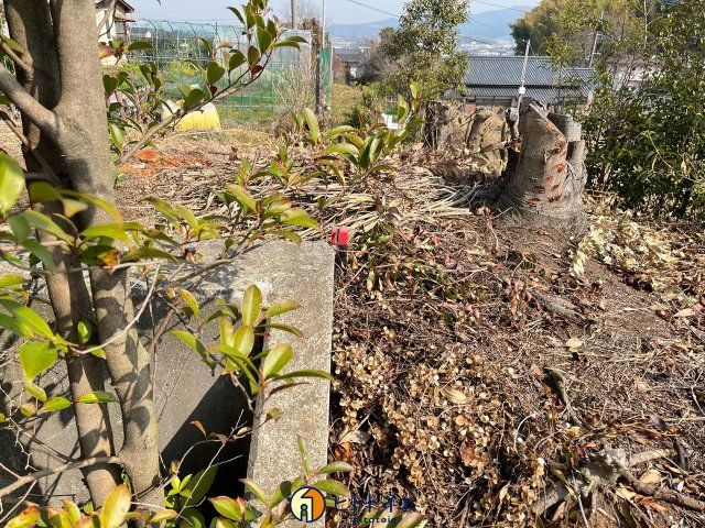 吉田　岩戸山の周辺