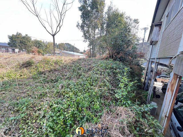 吉田　岩戸山の周辺