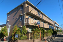 エーデルワイスの画像