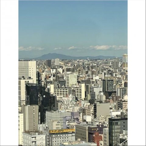 【展望】