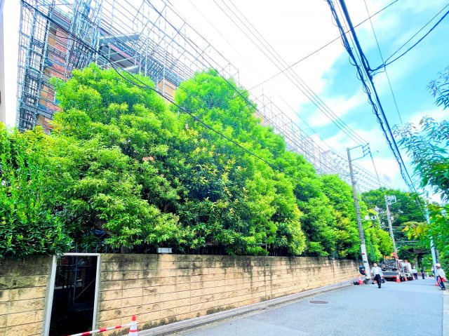 【居間・リビング】 | マナー高輪（ホーマット）3F | ●ヴィンテージマンションの代表格ホーマット旧分譲！