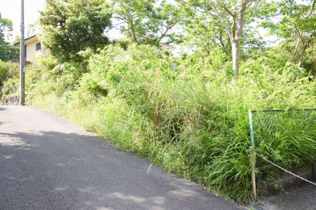 【外観】 | 伊豆高原分譲地　売地