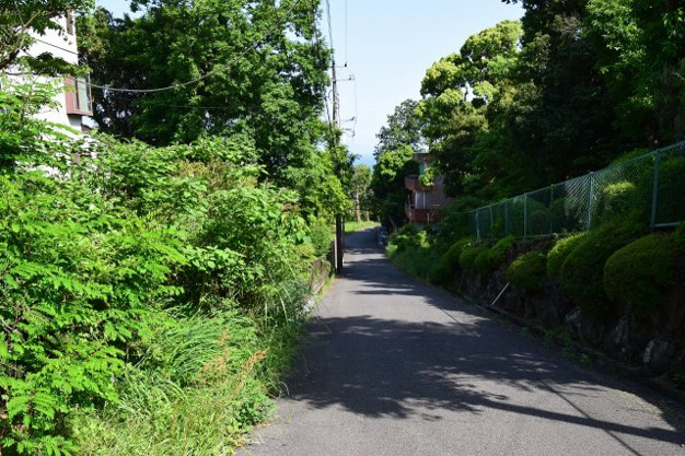 【前面道路含む現地写真】 | 伊豆高原分譲地　売地