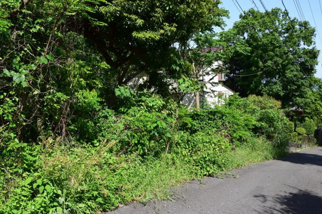 【前面道路含む現地写真】 | 伊豆高原分譲地　売地