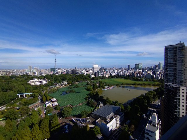 【展望】